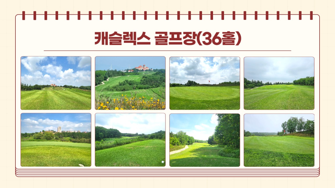 대련cc 초특가 할인행사