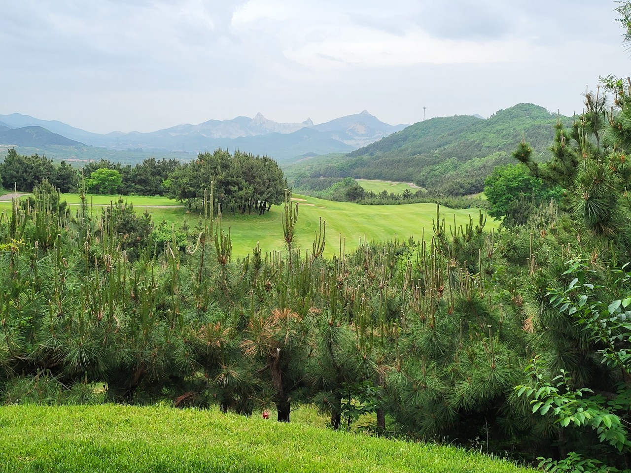 남산 성지cc
