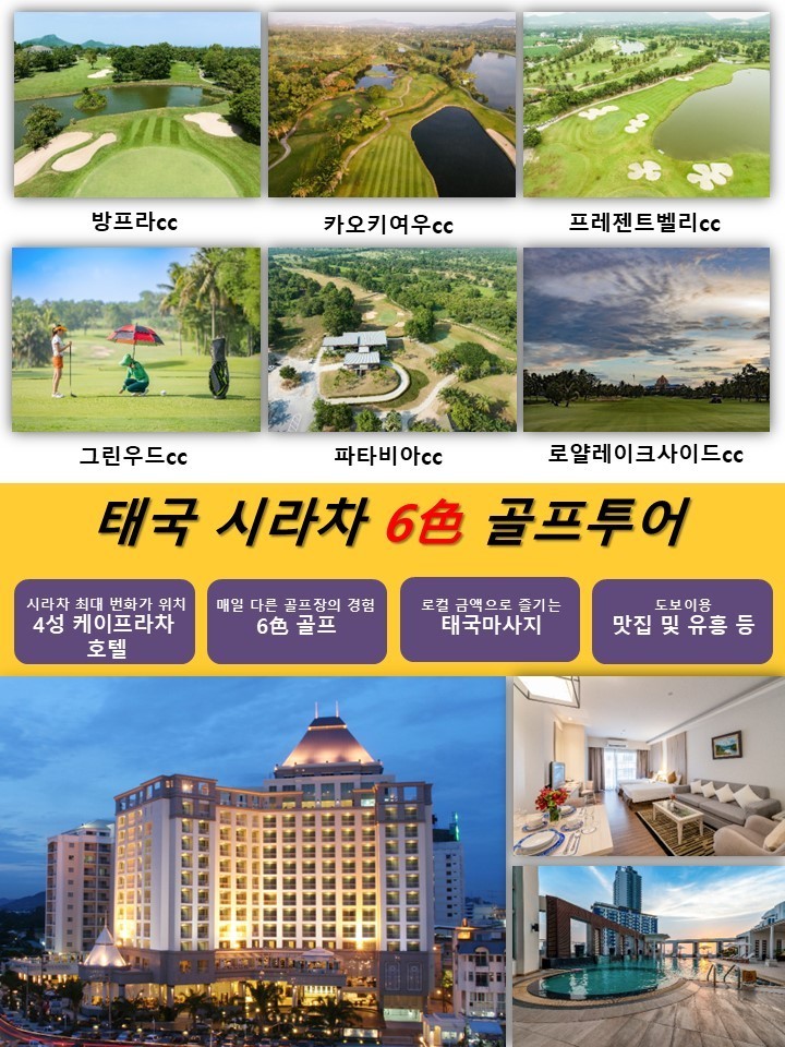 태국 대세상품 시라차 6색 골프