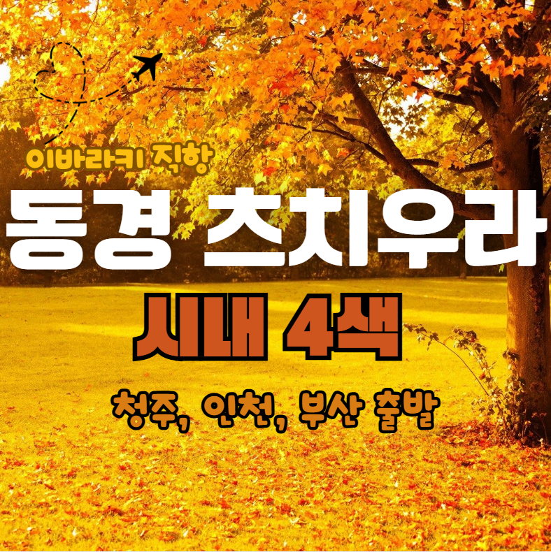 [이바라키] 동경 츠치우라 시내4색 온천여행