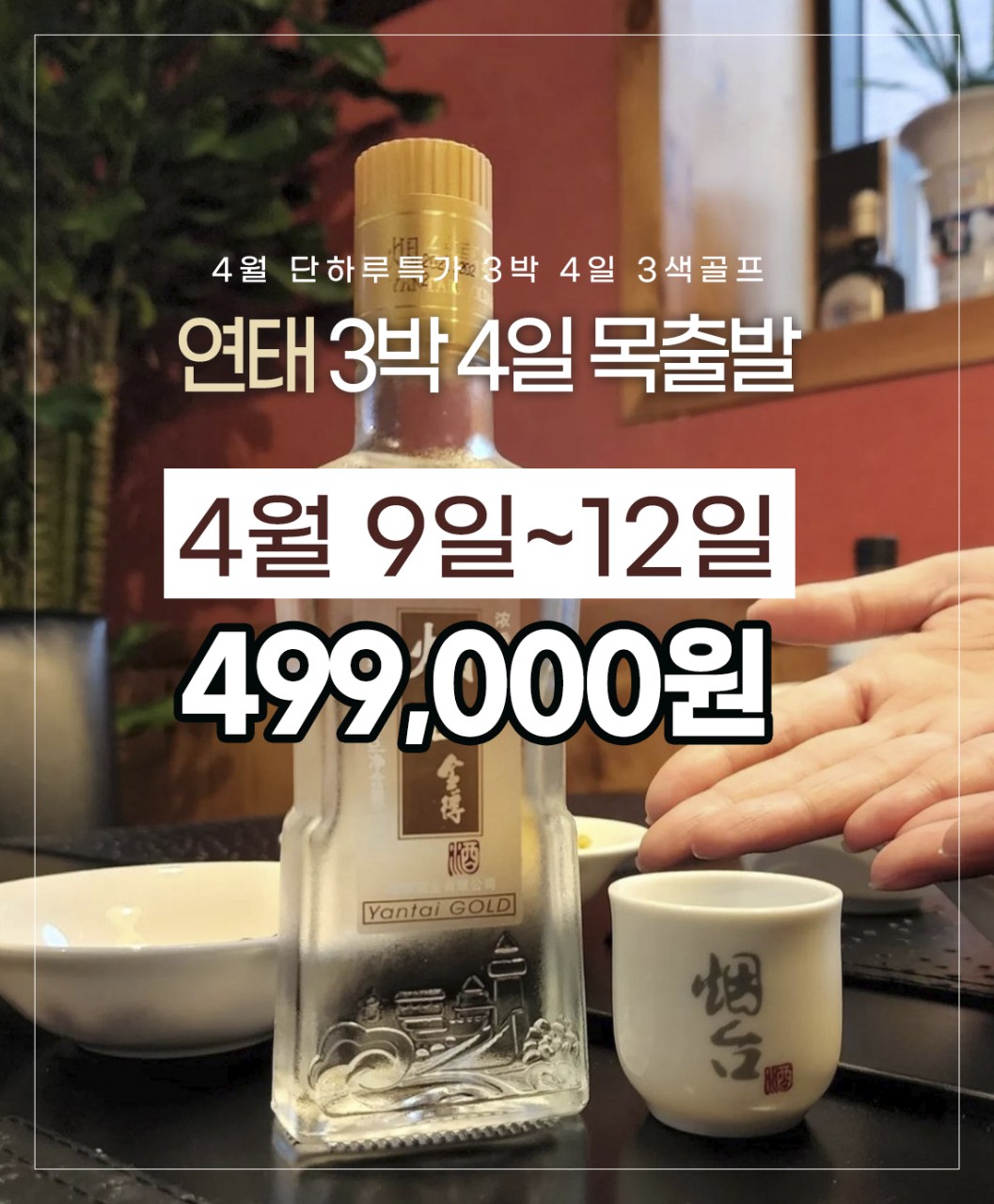 [연태] 조인데이! 연태 3색 봄 특가