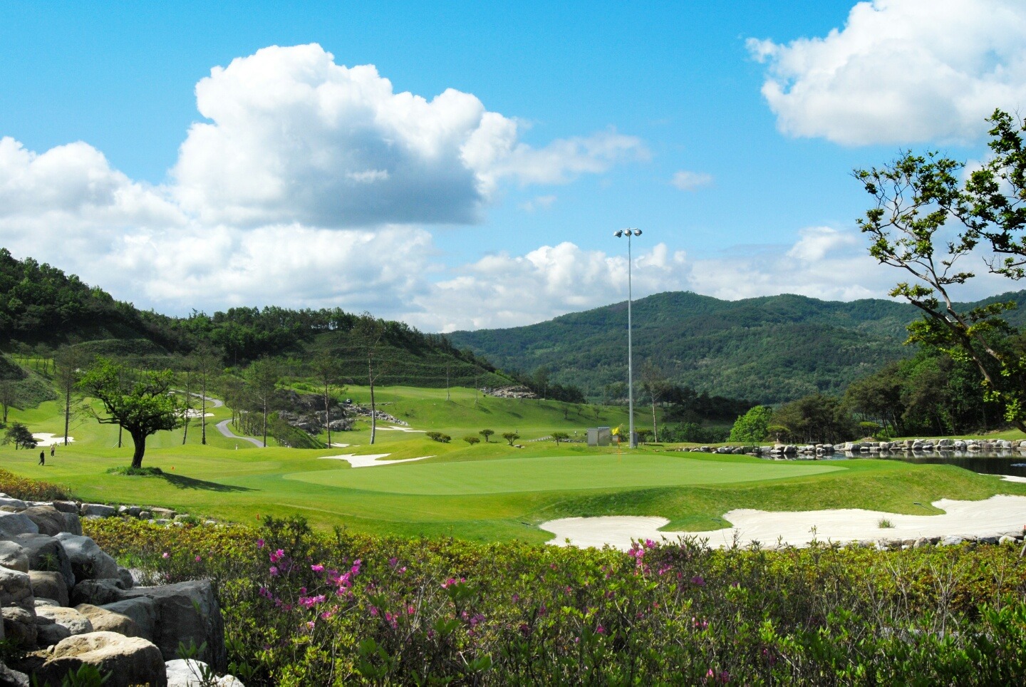 구니CC