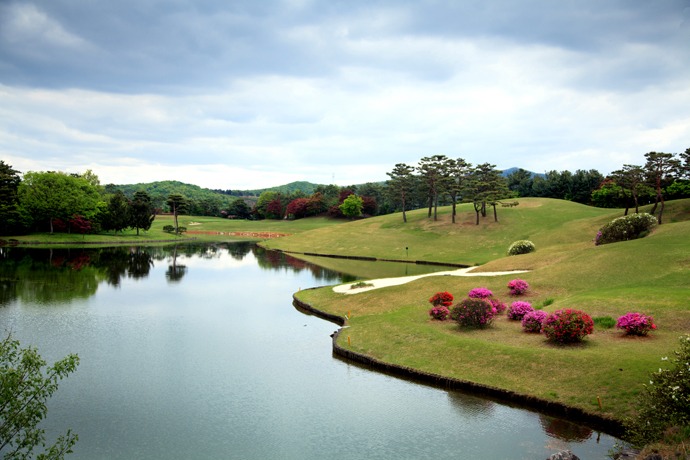 은화삼CC