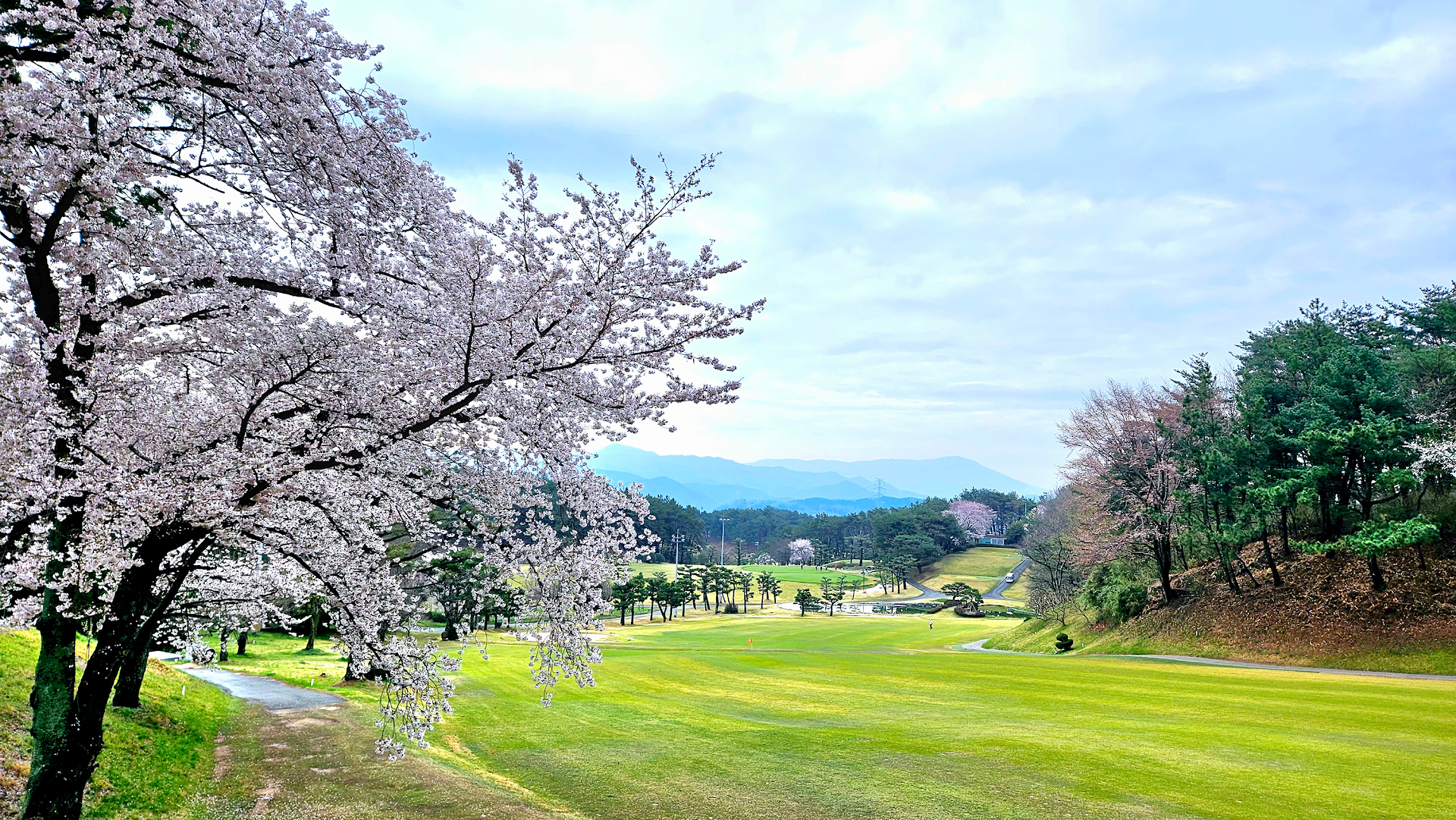 부산CC